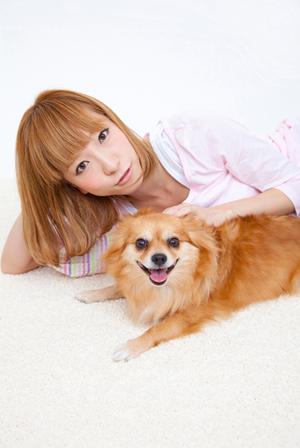 東京でおすすめのプードルブリーダー