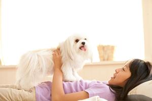 信頼と実績のアサンテ：土日祝日も対応可能なシロアリ駆除の専門サービス