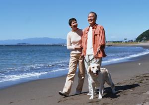 有名なビションフリーゼのブリーダーです