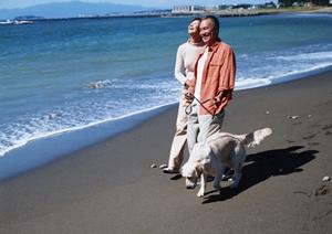 平塚で信頼できる動物病院を見つけるための完全ガイド:健康診断から緊急時の対応まで