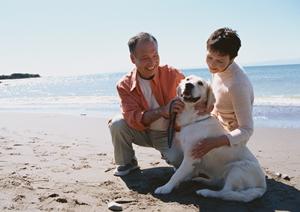 大切なペットを守るために大切な事とは