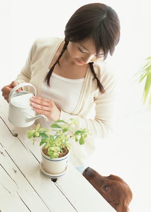 三鷹にある救急対応をする動物病院